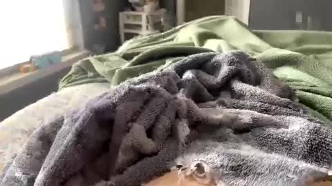 hardnthickm55 online show from February 14, 2025, 6:51 pm