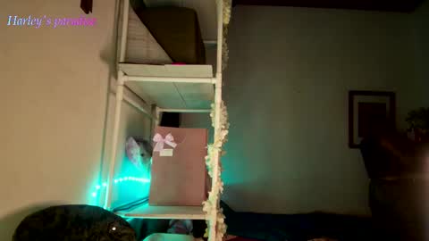 900 am to 300 pm - GTM 5 Weekdays online show from November 28, 2025, 6:16 am