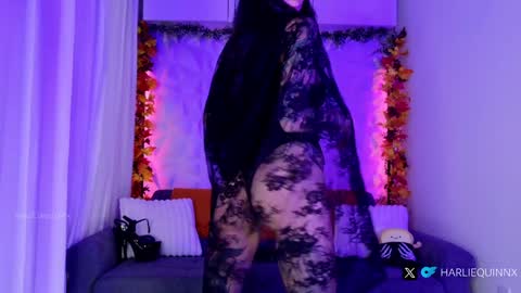 Harliequinnx - Schedule Below Exxxotica DC Dec 6-8th online show from October 31, 2025, 1:28 am