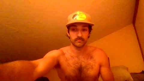 harrycheeks online show from June 29, 2026, 6:41 am