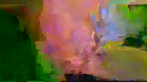 harryhavana online show from February 12, 2025, 7:34 am