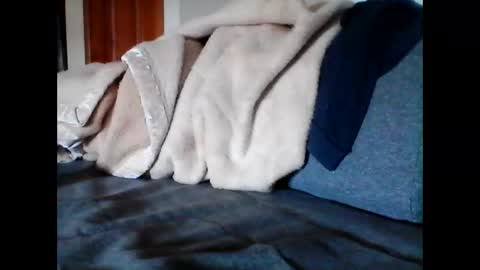 havier282874 online show from June 9, 2026, 4:57 am