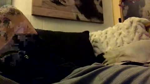 Snapshot of hbsethy chatting on January 11, 2025, 7:06 am HBSethy online show from January 11, 2025, 7:06 am