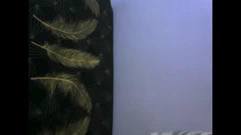 Snapshot of healyn chatting on January 27, 2025, 3:47 am healyn online show from January 27, 2025, 3:47 am