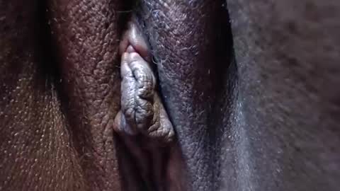 Heather online show from October 28, 2025, 3:36 pm