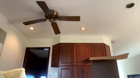 Snapshot of heatwavee chatting on November 4, 2025, 12:59 pm heatwavee online show from November 4, 2025, 12:59 pm