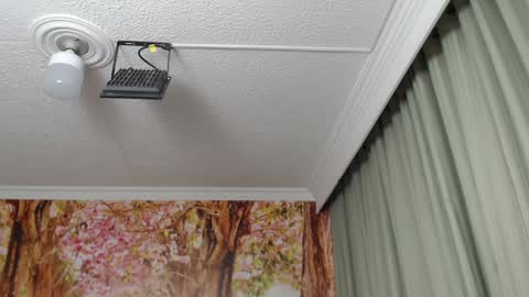 Snapshot of hellen_garcia chatting on January 23, 2025, 9:07 pm Hellen online show from January 23, 2025, 9:07 pm