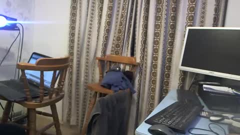 Snapshot of hermeneutika chatting on December 9, 2024, 7:06 am mature online show from December 9, 2024, 7:06 am