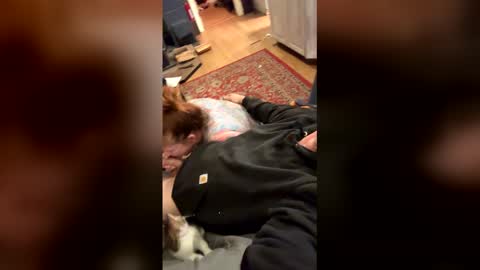 hgjkkggh online show from April 27, 2026, 2:42 am