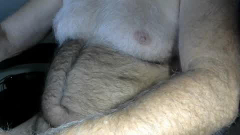 Snapshot of higgins11 chatting on October 9, 2025, 12:52 am higgins11 online show from October 9, 2025, 12:52 am