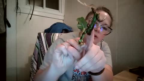 Snapshot of hippihope420 chatting on October 9, 2025, 11:25 pm Bella online show from October 9, 2025, 11:25 pm