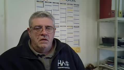 hippo online show from December 23, 2024, 9:59 am