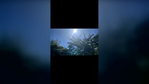 Bonaerense online show from February 7, 2026, 6:44 pm