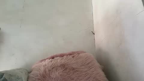 holly_wyn online show from March 24, 2026, 12:15 am