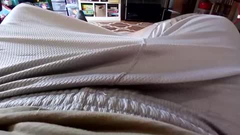 Snapshot of holycannoli123 chatting on October 15, 2025, 1:22 pm holycannoli123 online show from October 15, 2025, 1:22 pm