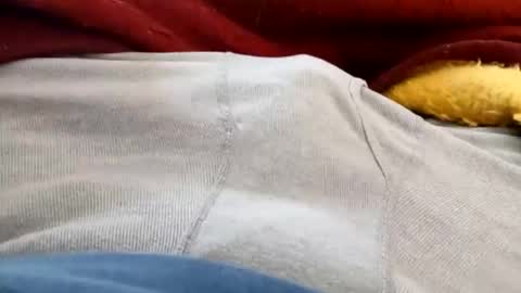 holycannoli123 online show from February 5, 2026, 3:49 pm