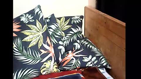 cristy online show from October 14, 2025, 10:10 pm