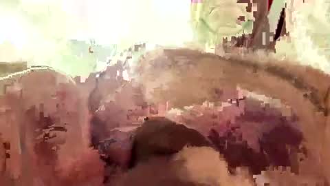 hornieecum online show from March 2, 2026, 11:17 am