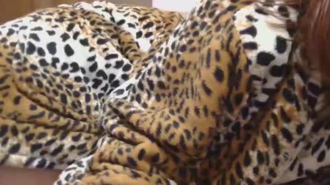 Serena online show from February 22, 2025, 10:20 pm