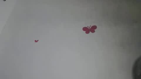 Iris online show from November 10, 2025, 7:57 pm