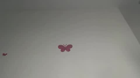 Iris online show from February 21, 2026, 7:48 pm