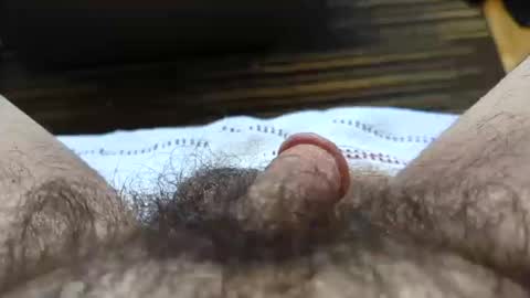 Snapshot of hornyallthetime6969696969 chatting on October 11, 2025, 4:49 pm Tiny cock online show from October 11, 2025, 4:49 pm