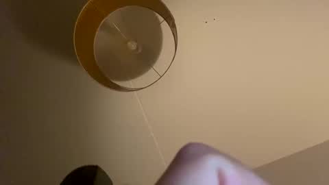 hornyboobman93 online show from January 29, 2025, 8:14 pm