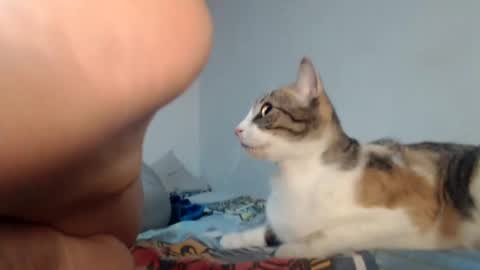 Snapshot of hot_angels___ chatting on January 24, 2025, 8:34 am angels online show from January 24, 2025, 8:34 am