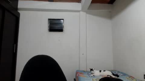 Snapshot of hot_angels___ chatting on November 23, 2025, 5:40 am angels online show from November 23, 2025, 5:40 am