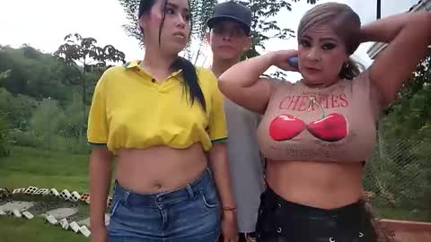 kittens online show from May 27, 2026, 11:07 am