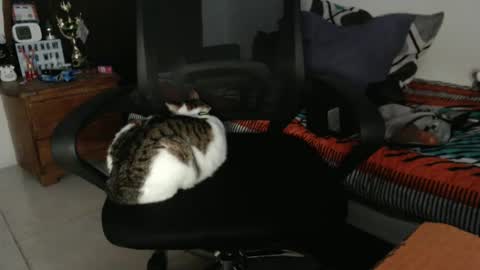 Hot and PowerHOPE U MISS ME online show from December 21, 2024, 1:04 am