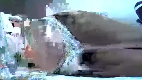 hotberry_7 online show from April 6, 2026, 8:37 am