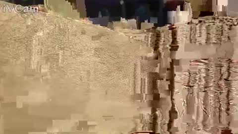 Hotcapolx online show from November 17, 2025, 10:32 am