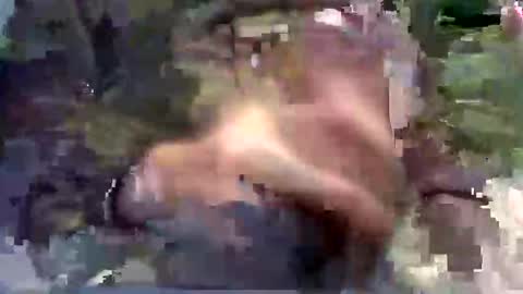 Snapshot of hotdick4200 chatting on November 14, 2025, 7:51 am hotdick4200 online show from November 14, 2025, 7:51 am