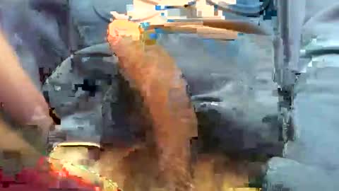 Snapshot of hotdick4200 chatting on November 19, 2025, 6:24 am hotdick4200 online show from November 19, 2025, 6:24 am