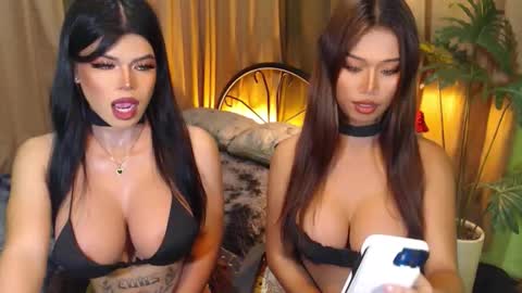 EVA online show from September 29, 2025, 7:13 am