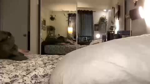 Snapshot of hotmama6666 chatting on October 14, 2025, 12:00 am Annabelle online show from October 14, 2025, 12:00 am