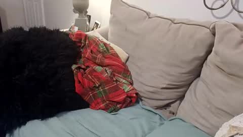 Snapshot of hotpepperrose chatting on February 27, 2026, 2:33 am hotpepperose online show from February 27, 2026, 2:33 am