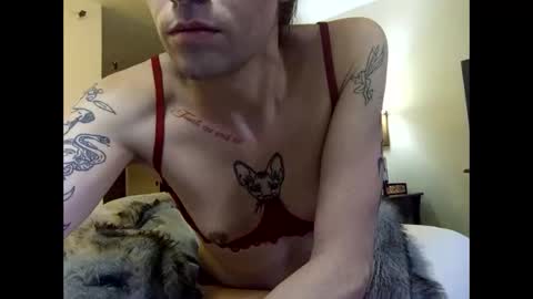 Lucky  online show from February 10, 2026, 4:11 pm