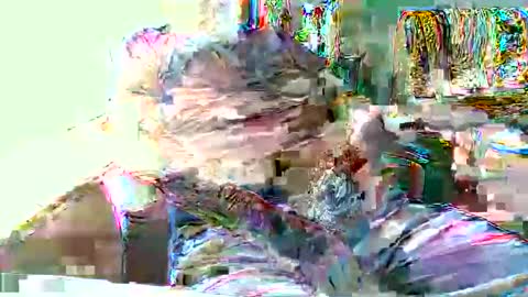 Hottop 1981 online show from April 19, 2026, 4:39 pm