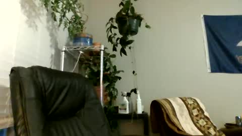 Hottop 1981 online show from July 6, 2026, 2:52 am