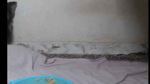 Snapshot of hottylissa1 chatting on September 26, 2025, 8:35 pm hottylissa1 online show from September 26, 2025, 8:35 pm