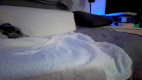 Snapshot of hugolandcam chatting on February 14, 2025, 8:26 pm Hugo online show from February 14, 2025, 8:26 pm