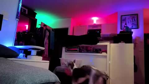 Snapshot of hugolandcam chatting on February 25, 2025, 8:41 pm Hugo online show from February 25, 2025, 8:41 pm