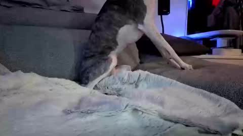 Snapshot of hugolandcam chatting on March 10, 2025, 8:12 pm Hugo online show from March 10, 2025, 8:12 pm