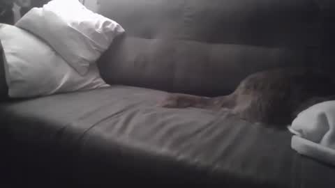 huguit026 online show from February 4, 2025, 11:27 pm