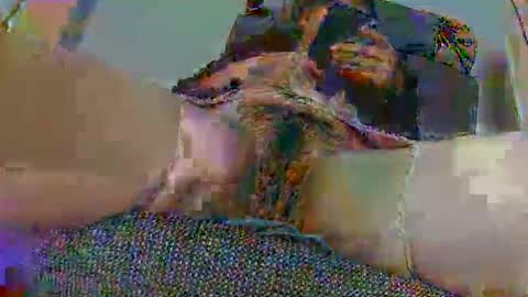 hujiajia520321431 online show from November 10, 2025, 11:53 am