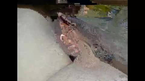 hung_mac0 online show from February 25, 2026, 2:27 pm