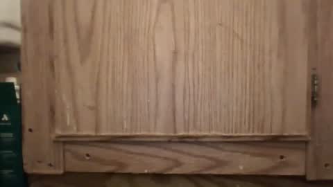 Hybrid Lover419 online show from February 13, 2026, 5:36 am