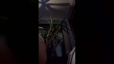 hypervenom369888 online show from March 7, 2026, 2:08 am